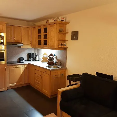 Appartement Rénové Avec Balcon Et Parking à Flaine - Fr-1-425-121 *
